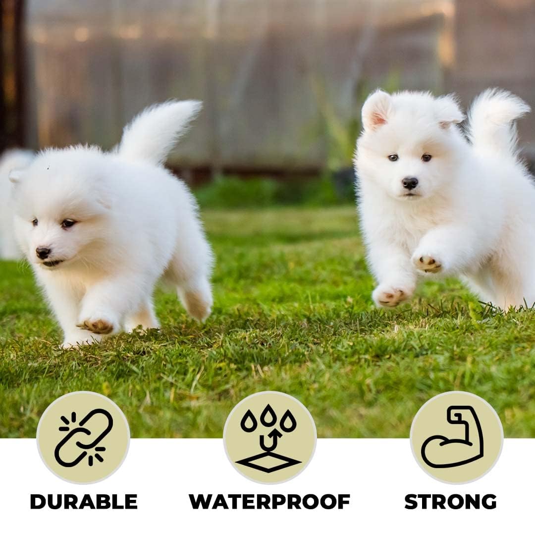 Kuber Industries dog harness - stylish outdoor use