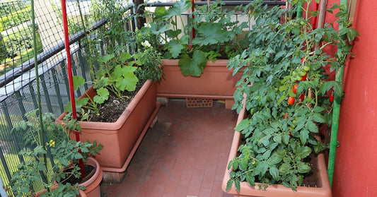DIY Hacks to Convert Your Balcony into a Mini Garden