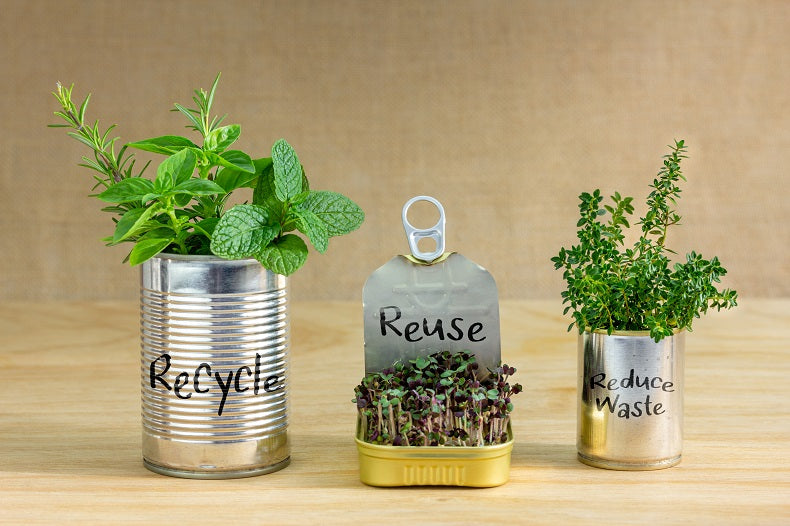 DIY Hacks: Revive & Repurpose!