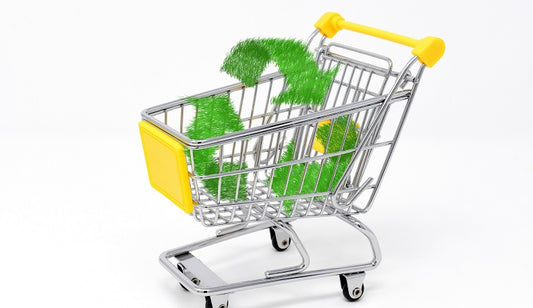 Consumer Trends Shifting Toward Sustainability