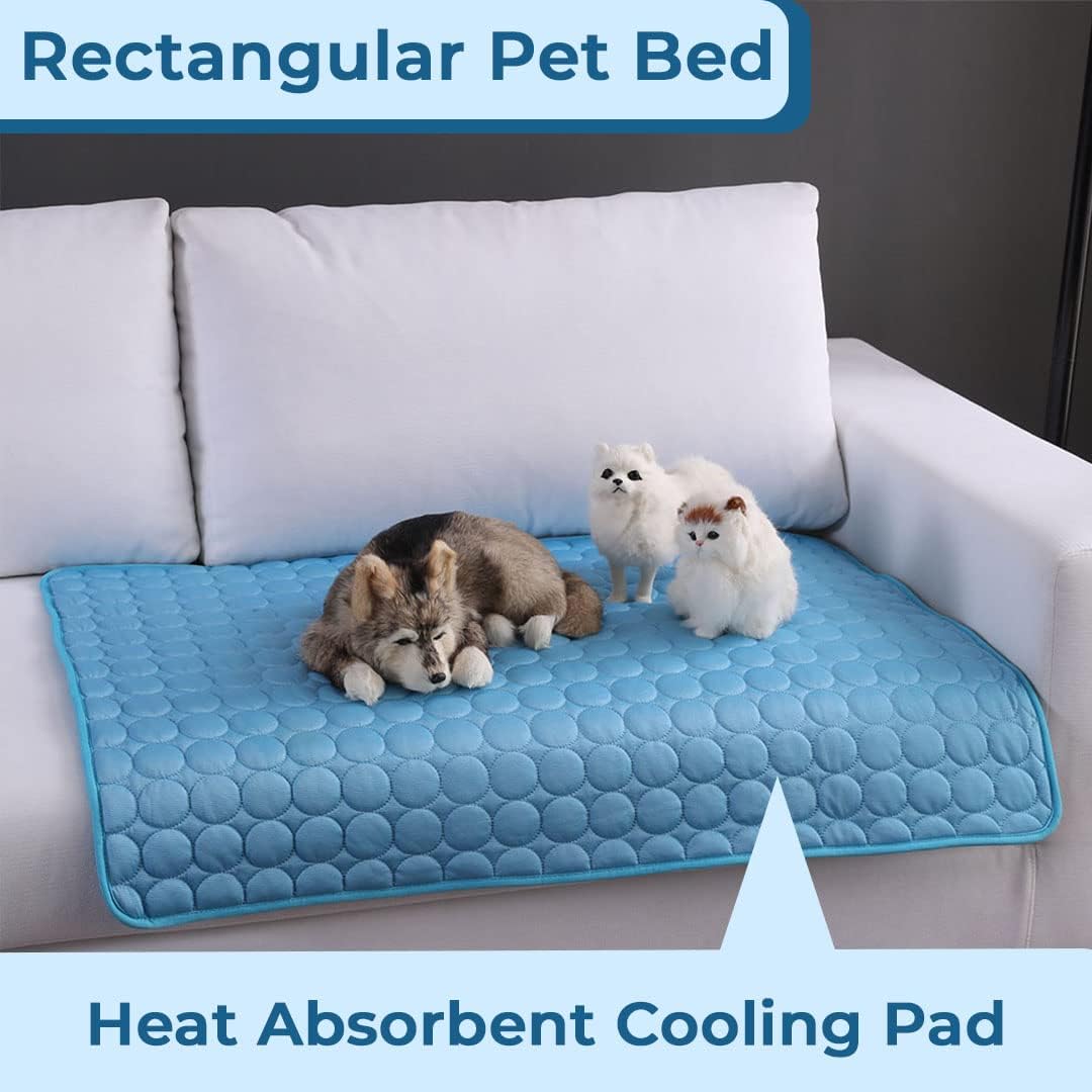 Kuber Industries rectangular cat bed - stylish blue color