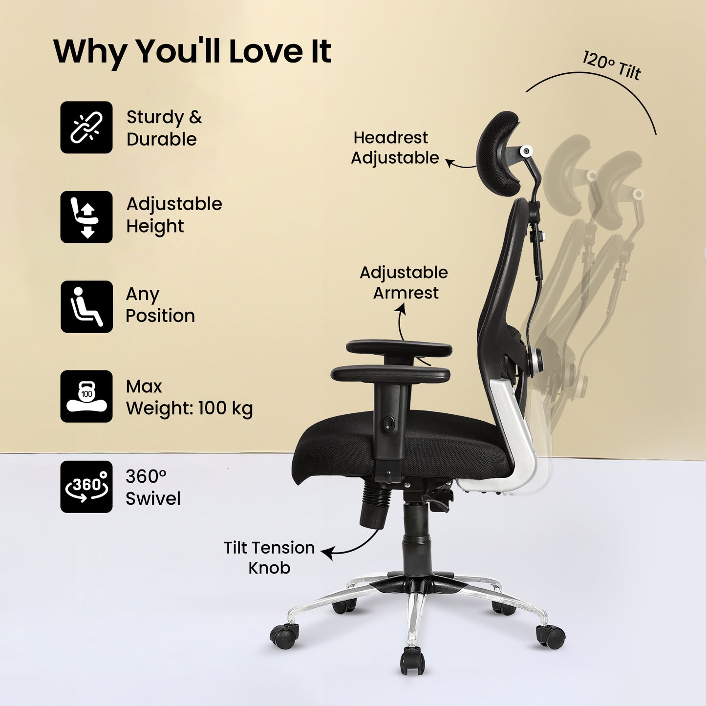 SAVYA HOME Apollo Chair - Modern Office Decor