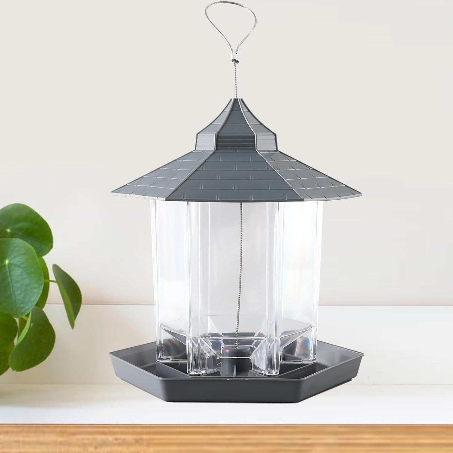 Kuber Industries Bird Feeder - Bird observing activity