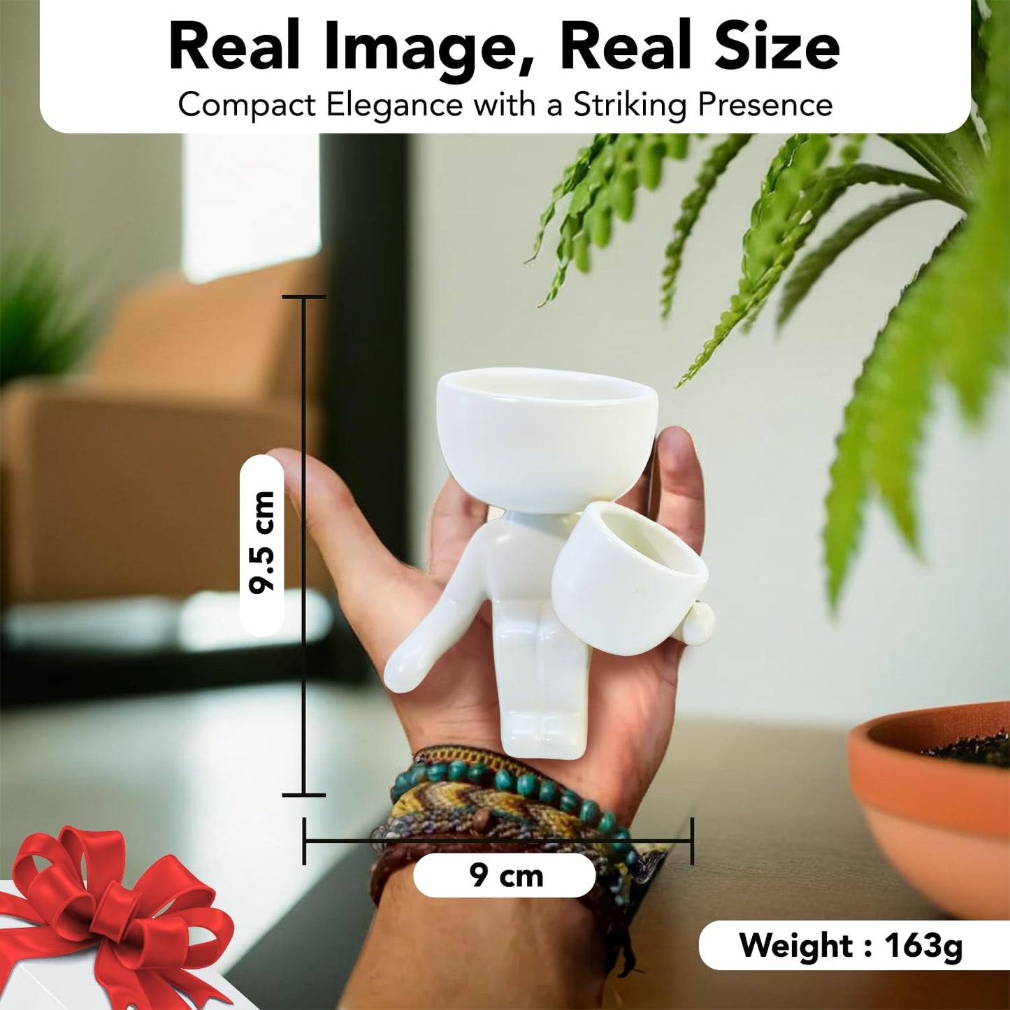 Ekhasa succulent pots - great gift for plant lovers