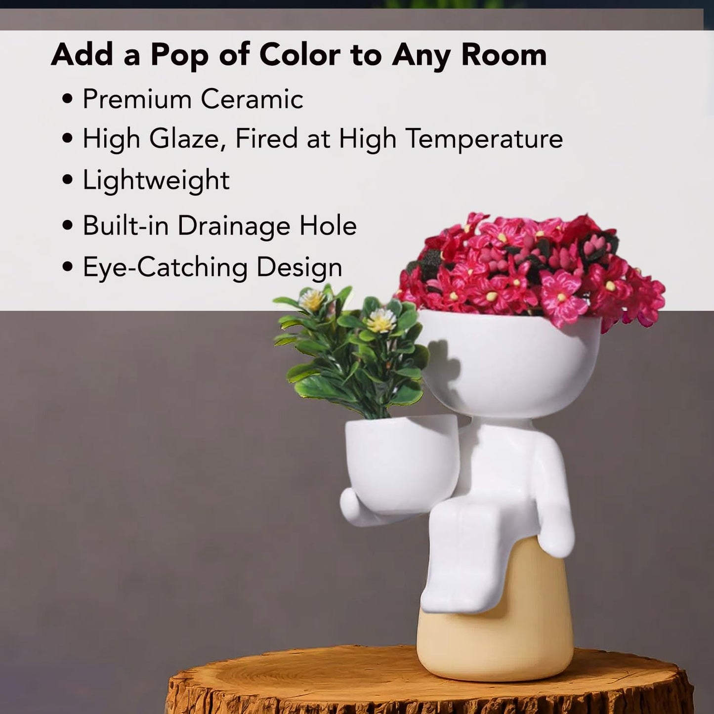 Ekhasa decorative ceramic planters - enhancing living room style