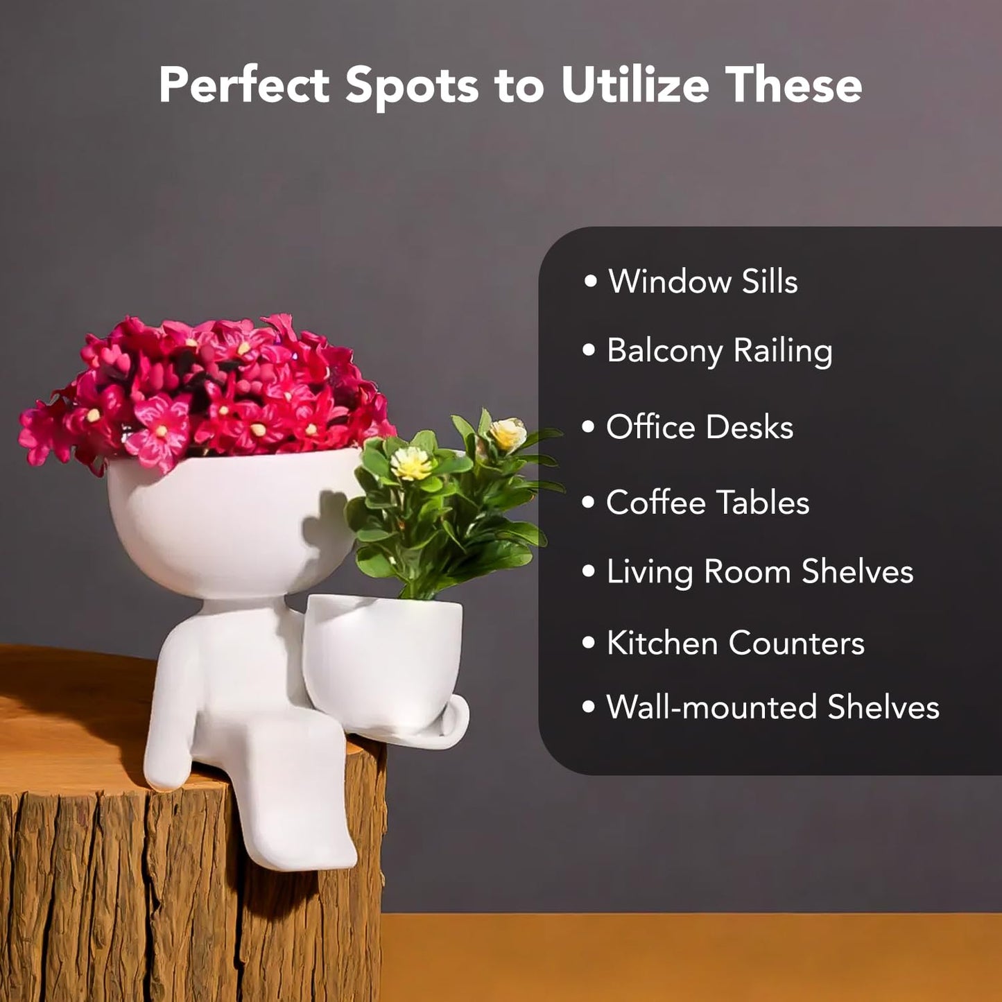 Ekhasa cute plant pots - perfect for balcony gardening
