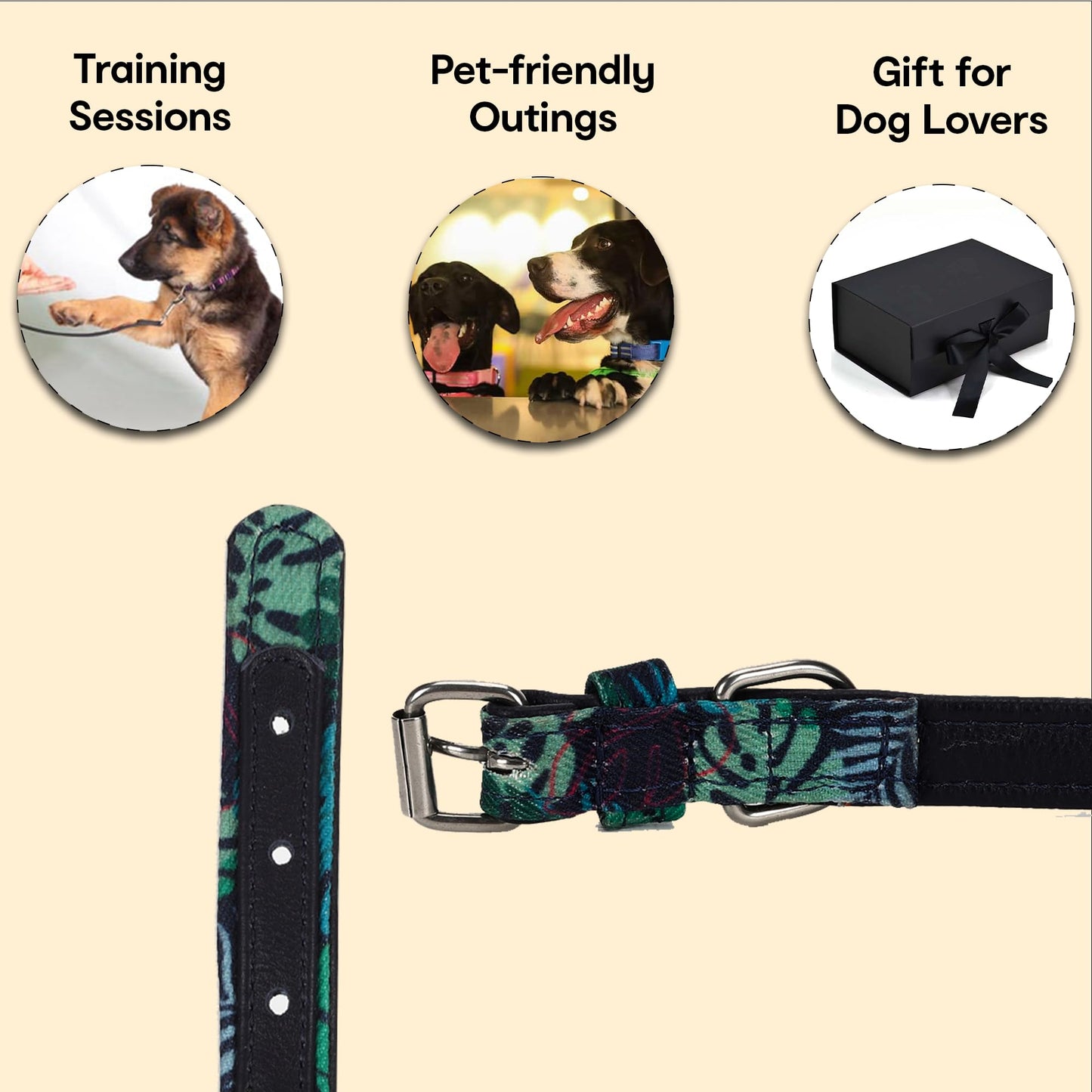 Anko adjustable dog collar - perfect for training