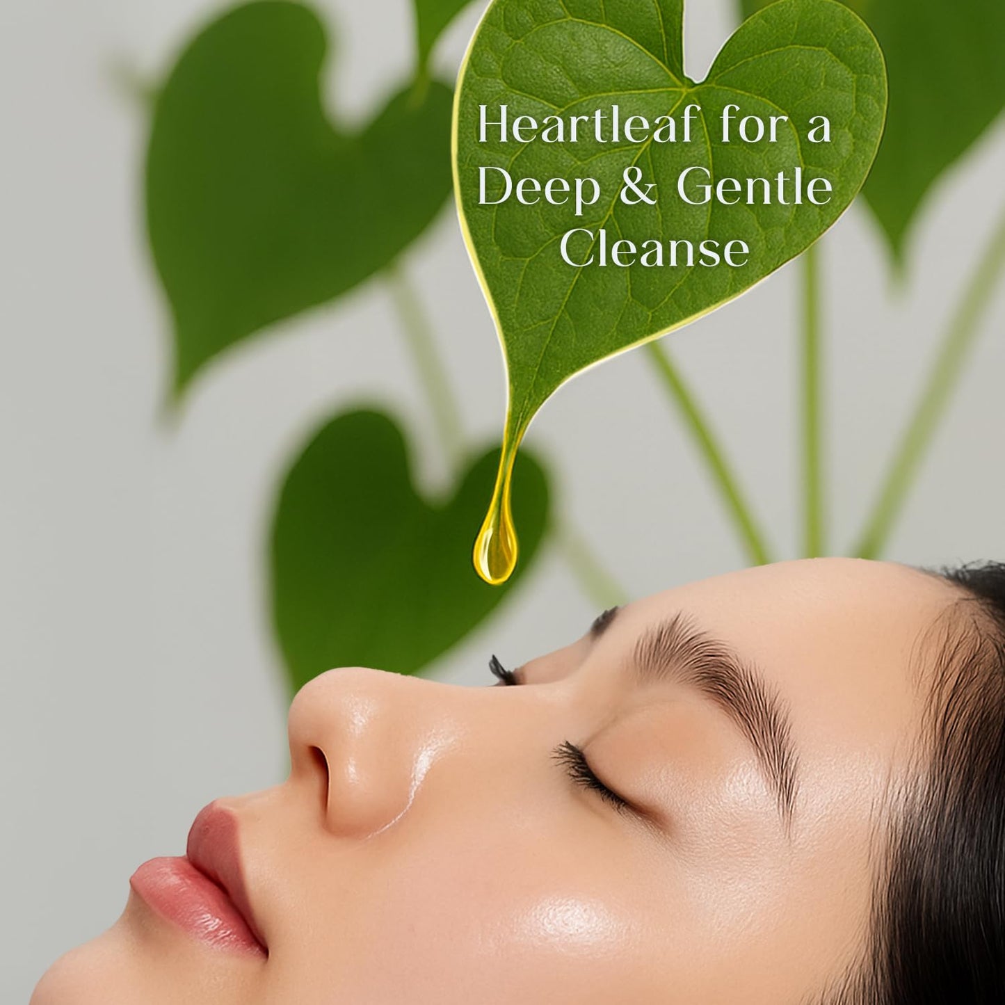 Seoul Skin Heartleaf Cleansing Foam - Gentle exfoliation