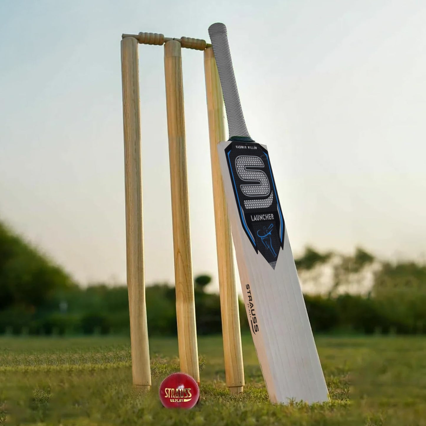 Strauss cricket helmet - essential for safety during matches