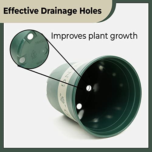 Kuber International Green Plant Pot - Sprucing up office interiors