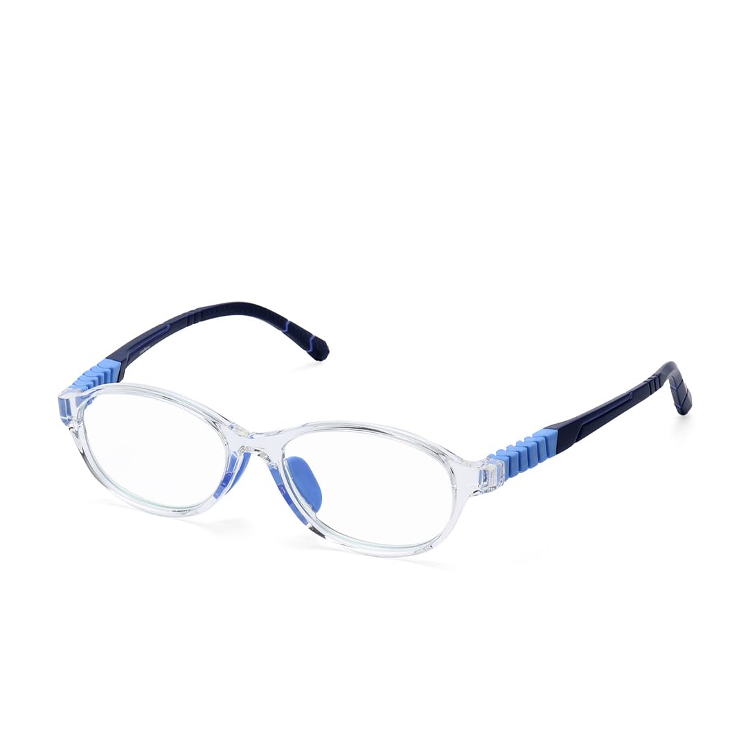 Intellilens Computer Glasses - Home use