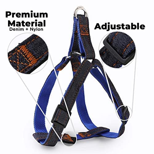 Kuber Industries Dog Collar Belt & Harness With Adjustable Leash|Premium Demin Fabric|Metal Hooks|PDMGL-013-08|Red