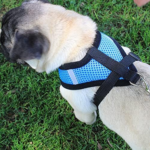 Kuber Industries Dog Chest Harness with Nylon Leash I No Pull, Soft Padded and Breathable Dog Vest I Adjustable, Reflective I Easy Control Dog Chest Belt I (Large, Blue)