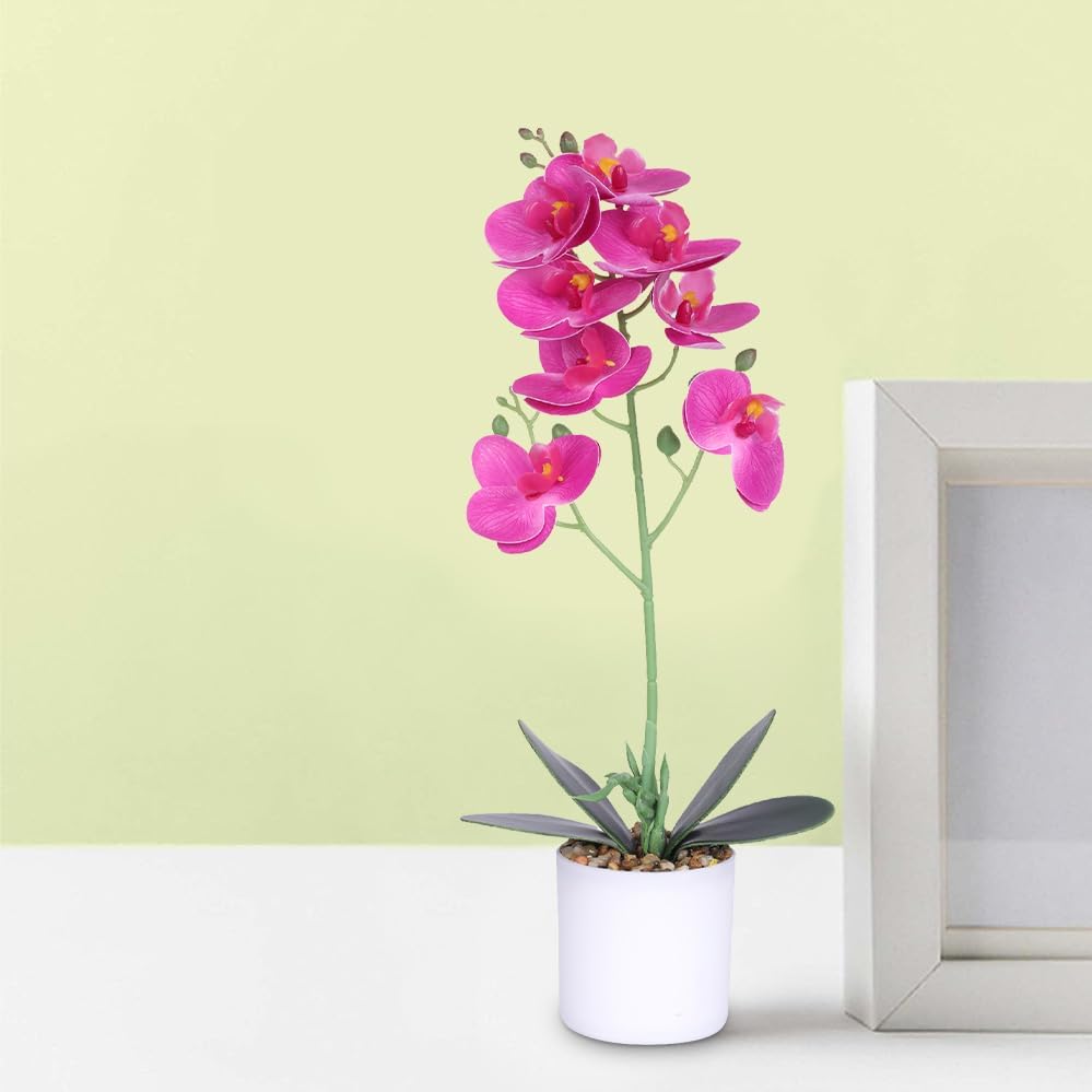 Pack of 2: Artificial Indoor Plants - Natural Looking with Pot | Ideal for Home Décor | Color: Pink