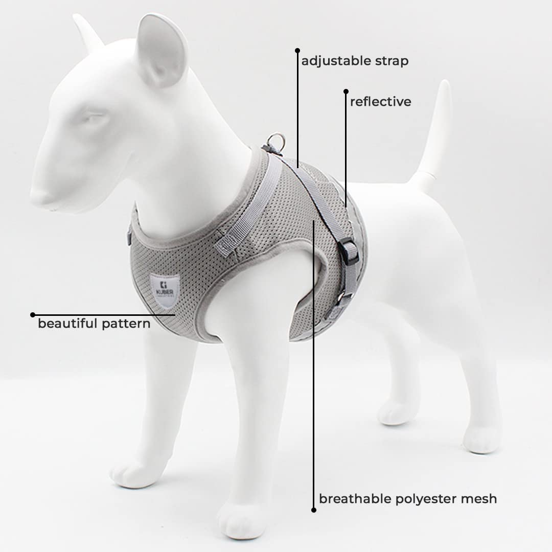 Kuber Industries Dog Chest Harness with Nylon Leash I No Pull, Soft Padded and Breathable Dog Vest I Adjustable, Reflective I Easy Control Dog Chest Belt I (XS, Grey)