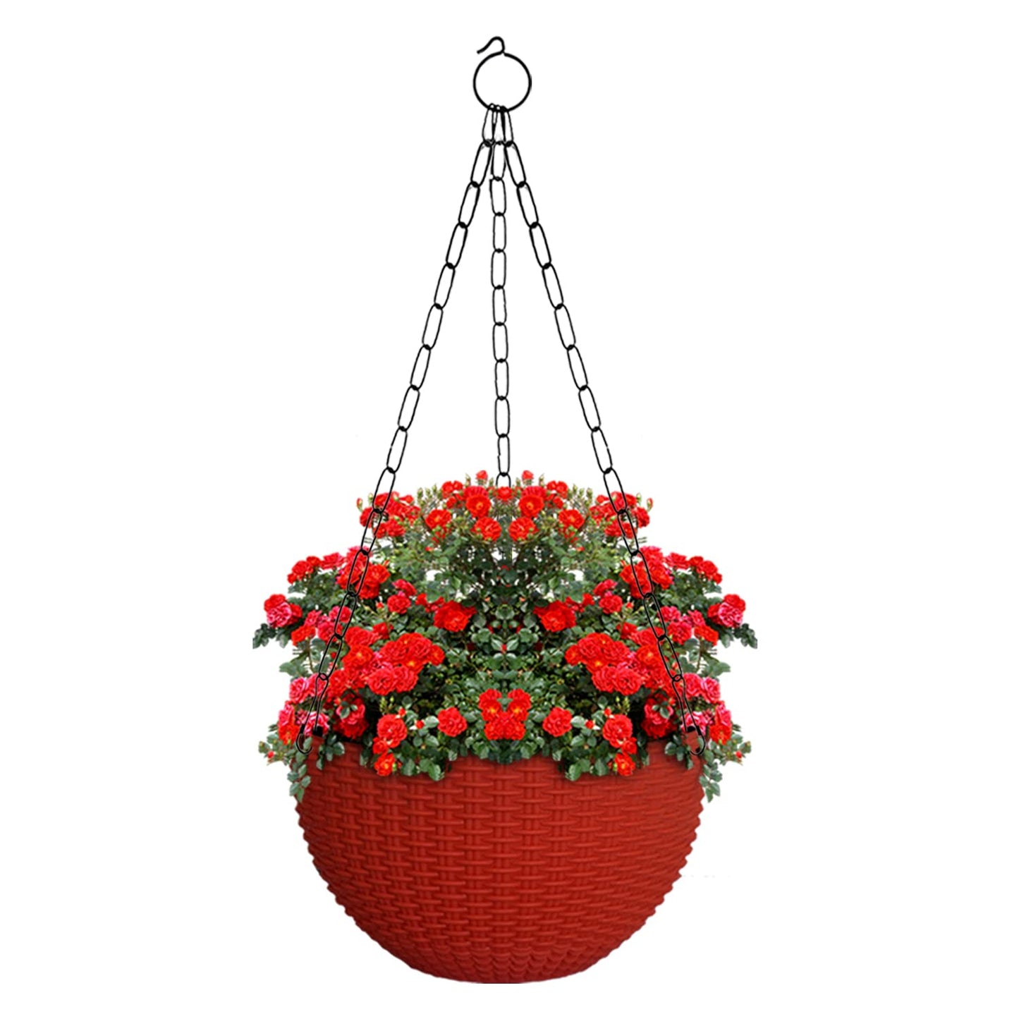 Kuber Plastic Hanging Flower Pot - office greenery