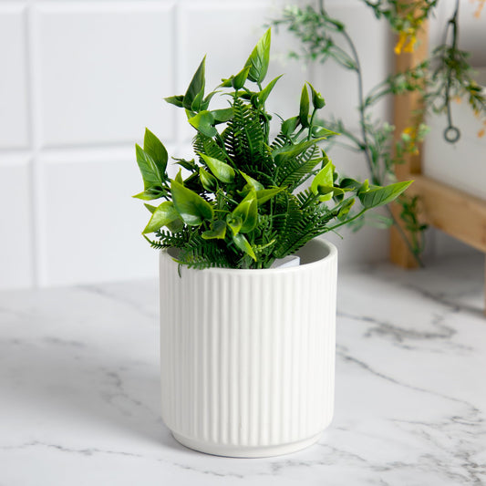 Anko small white linear pot - attractive garden plant holder