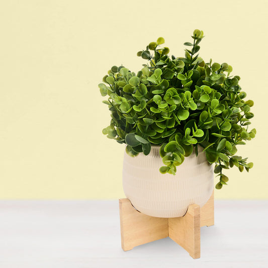 Artificial Plant & Ceramic Pot with Wooden Stand | Natural Look | Home & Office Décor | Size: 15cm