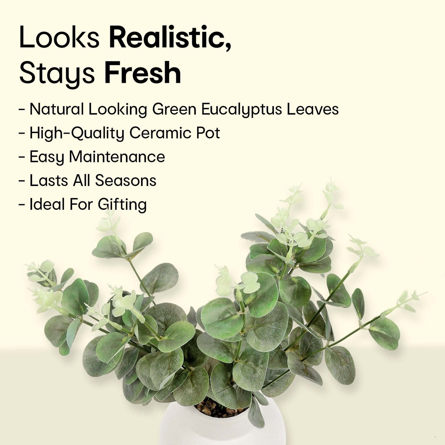 Artificial Eucalyptus Plant with White Vase | Decorative Potted Plant for Home & Office | Natural Look