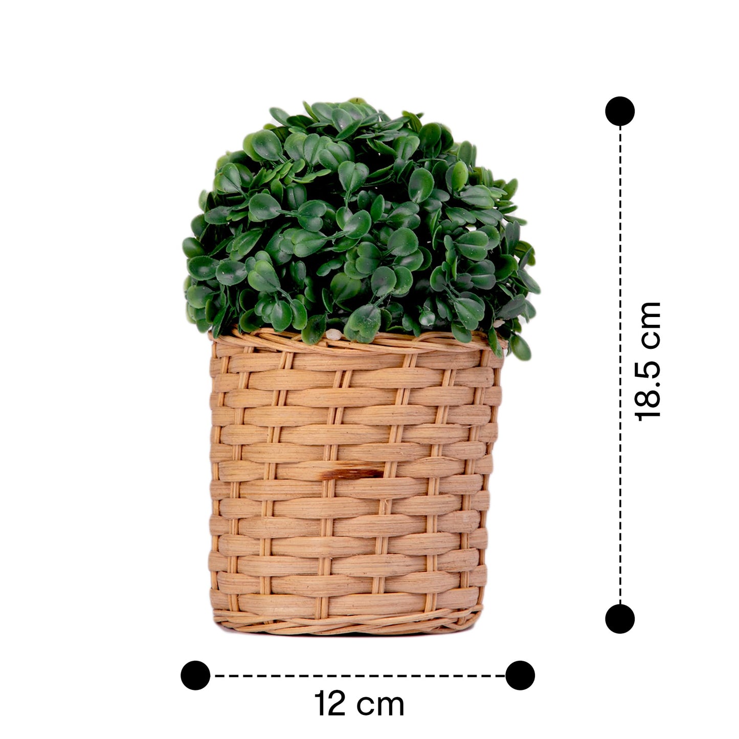 Anko Artificial Plant in Woven Rattan Planter Pot | 18.5cm (H) x 12cm (Dia) | Showpiece for Home Decor, Office Desk, Bedroom, Balcony, Living Room, Table Top, Shelves | Realistic Decorative Item