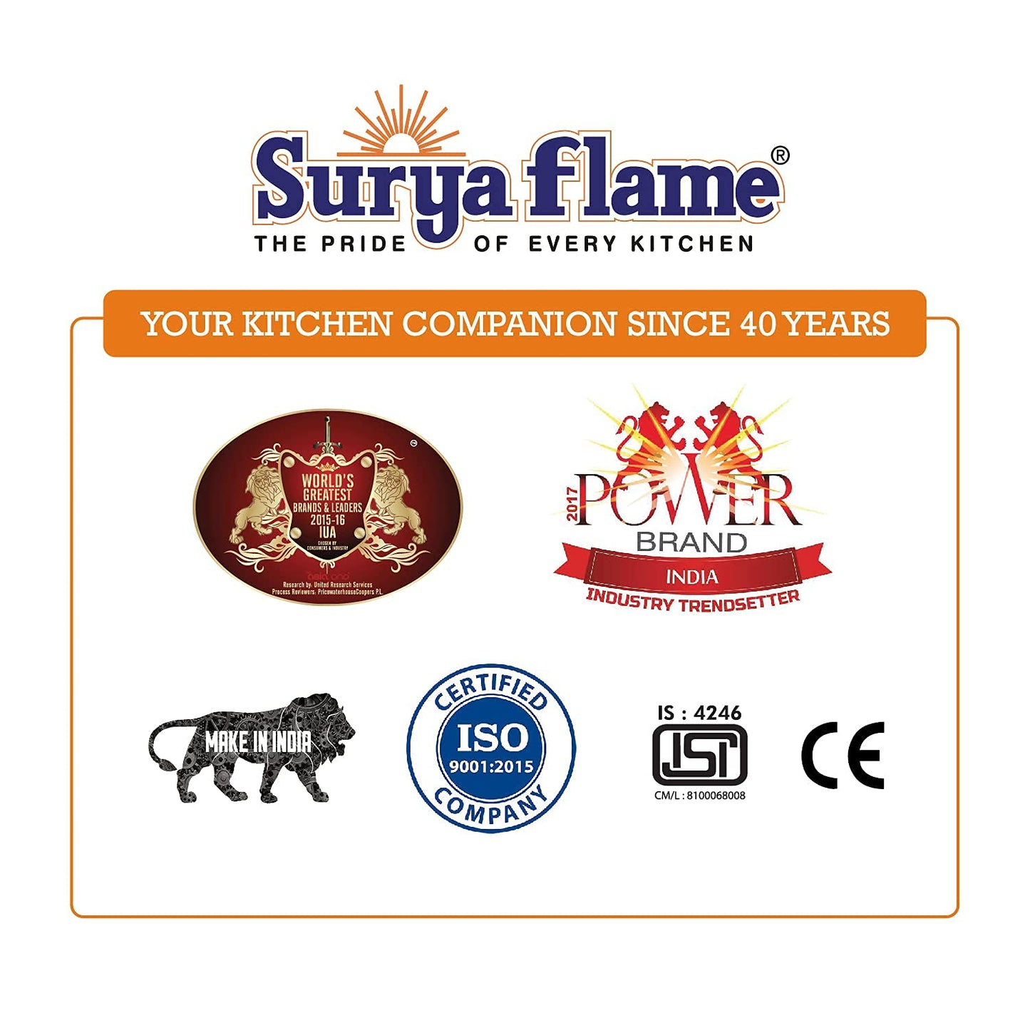 Surya Flame auto ignition stove - home cooking