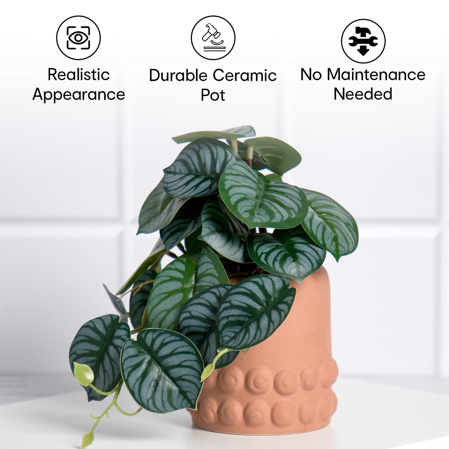 Anko Calathea Plant in Pot | Decorative Artificial Plant in Ceramic Pot | Home Decor | Centerpieces | Kitchen | Office or Living Room | Brown, 19cm Height