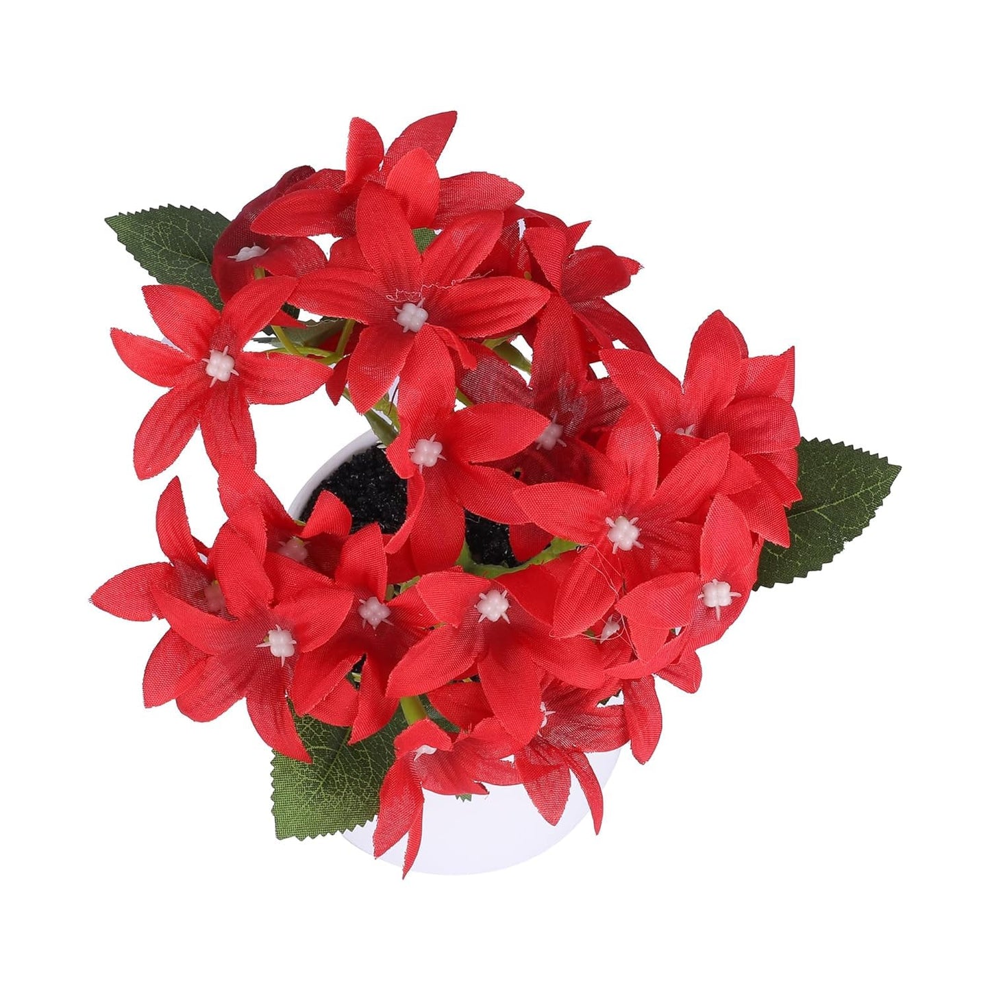 Combo: Artificial Indoor Plants with Natural Look | Includes Pots | Pack of 6 | Color: Red