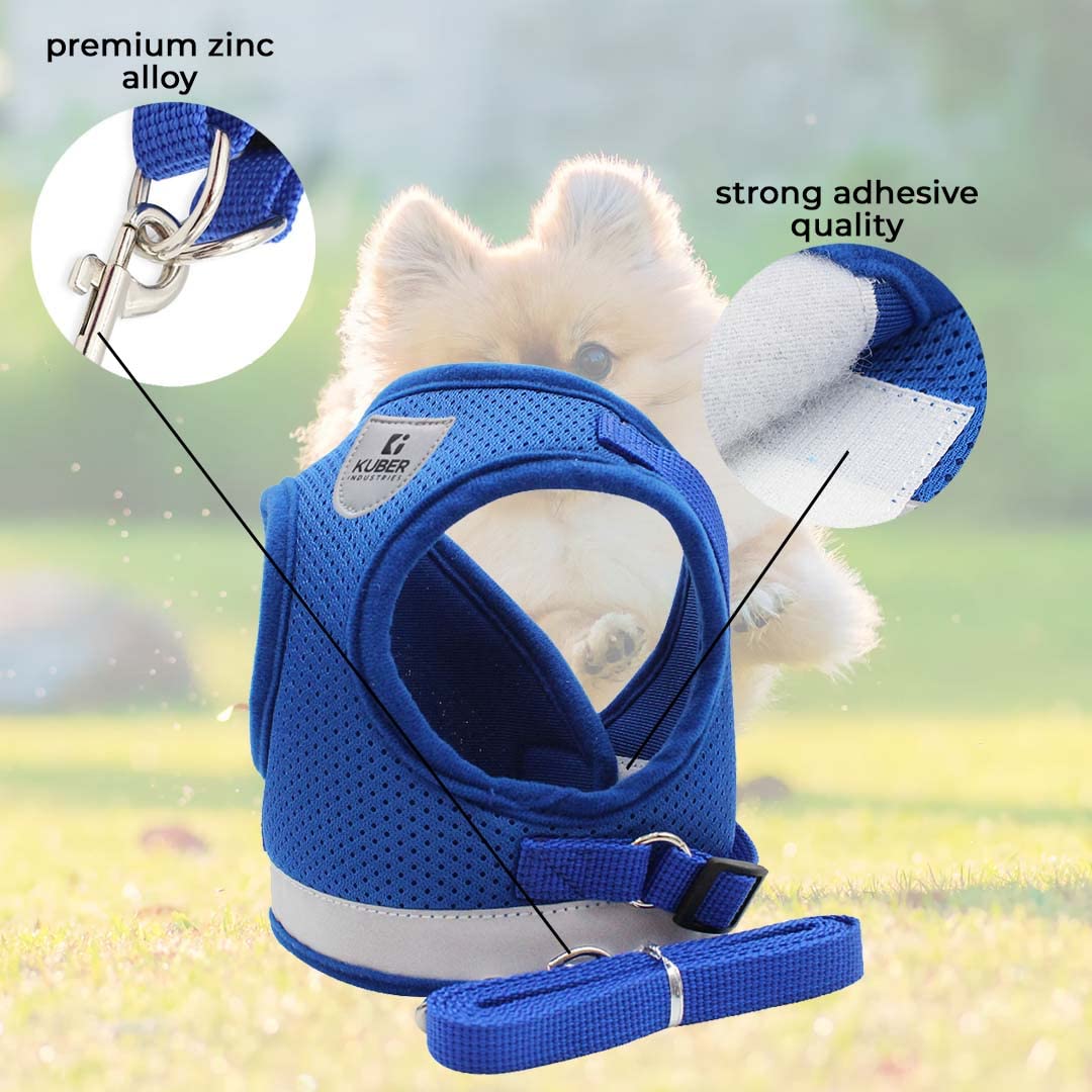 Kuber Industries nylon leash - perfect for training dogs