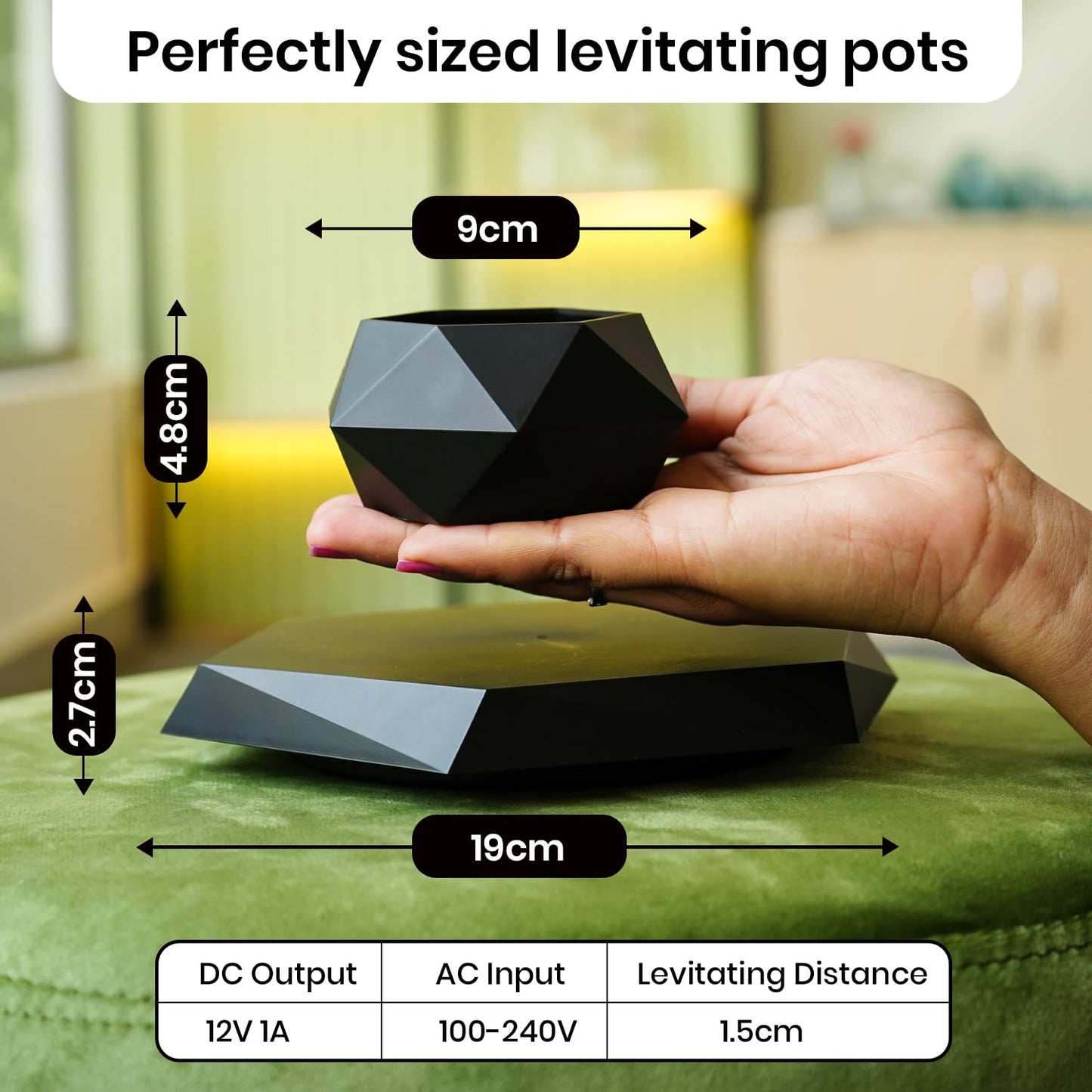 Ekhasa decorative plant pot - gift for plant lovers