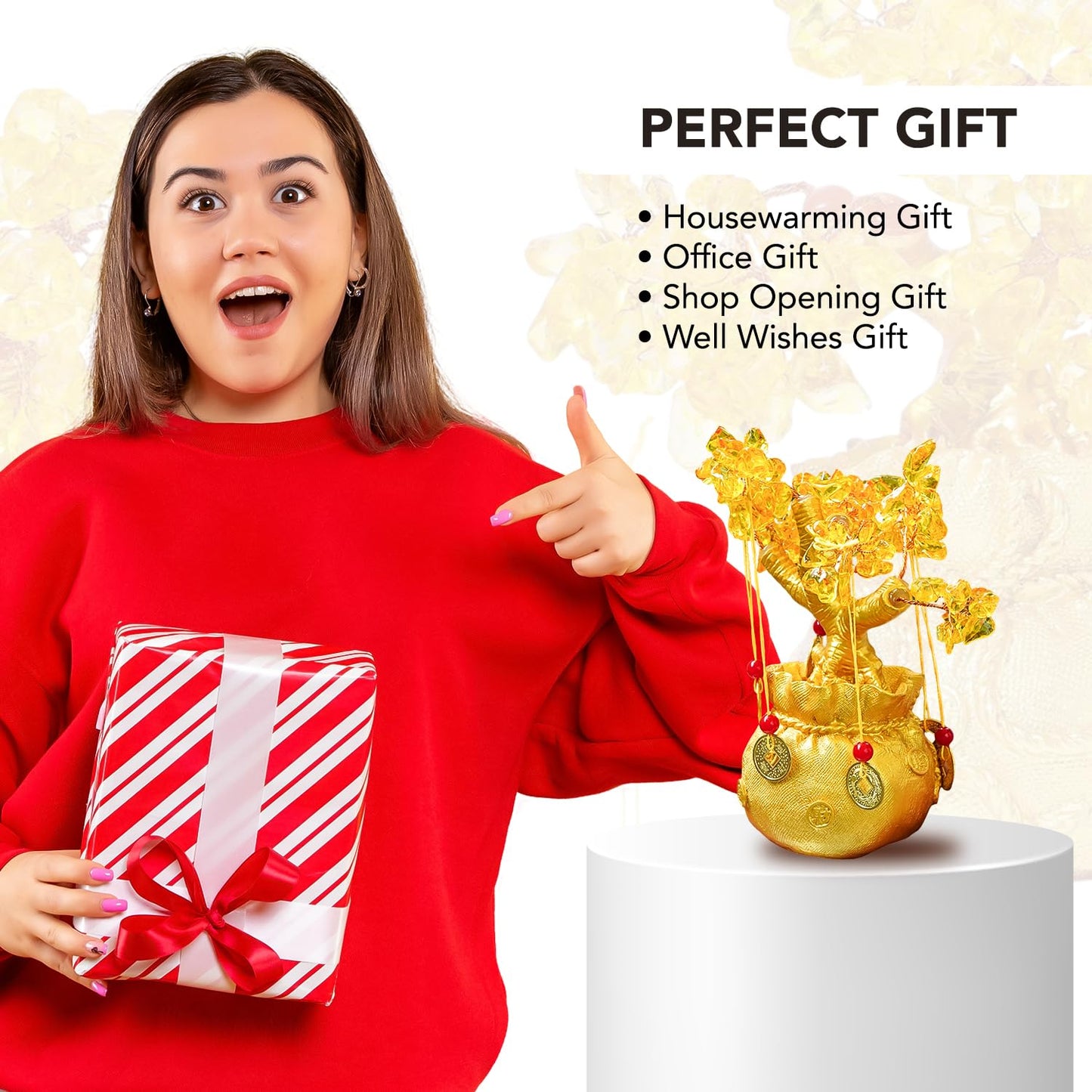 Ekhasa Feng Shui Tree - Good luck decoration for office