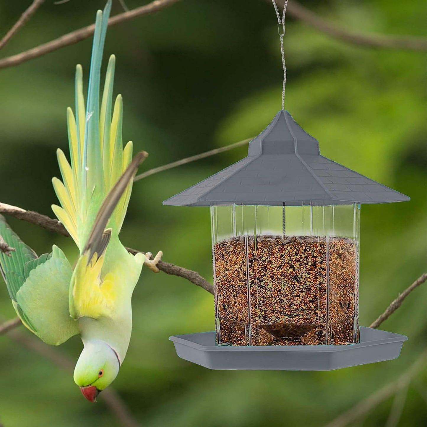 Kuber Industries Bird Feeder - Durable outdoor accessory