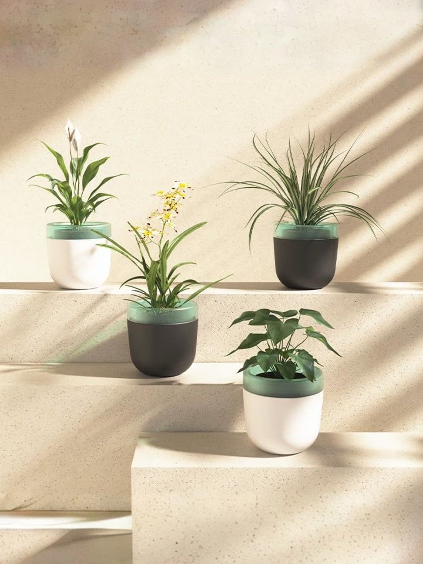 UMAI self watering plant pots - low maintenance gardening