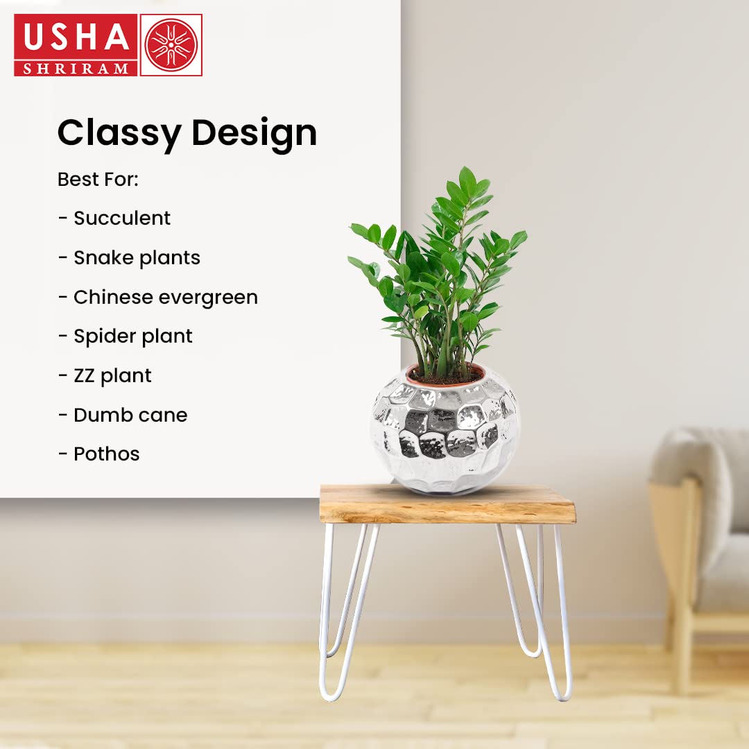 Usha Shriram round steel planter - elegant indoor use