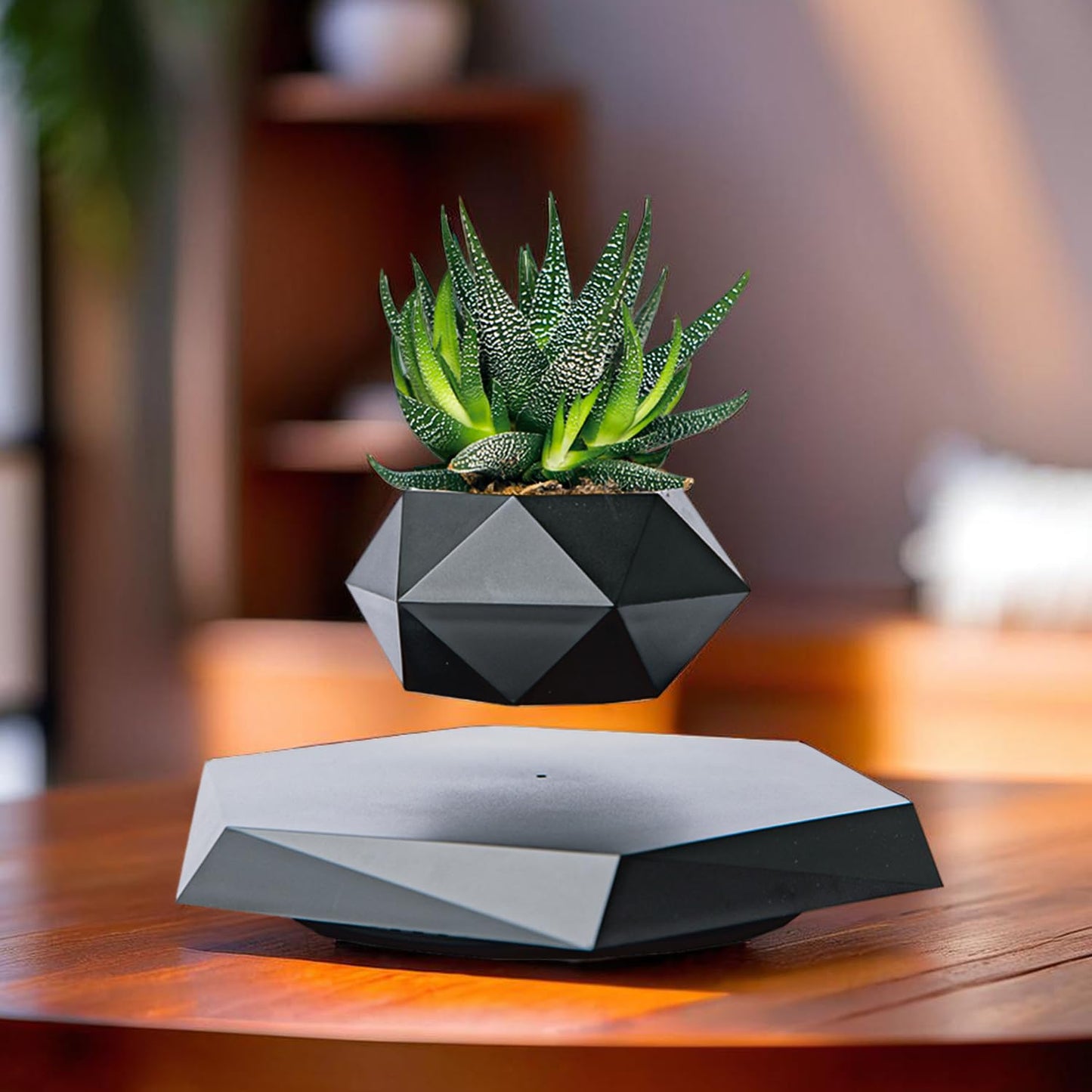 Ekhasa ABS levitating pot - small succulent planter
