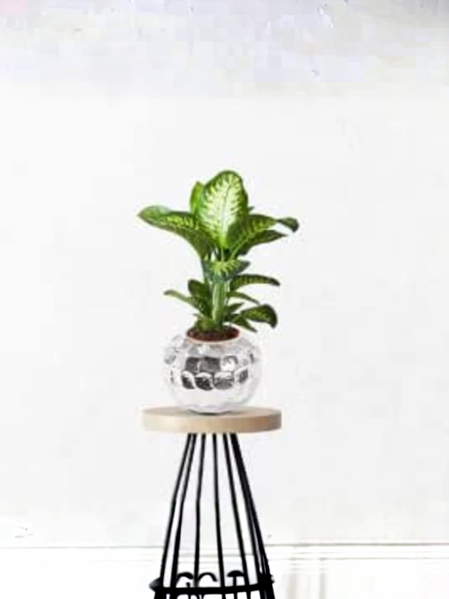 Usha Shriram rust resistant flower pot - eco-friendly choice