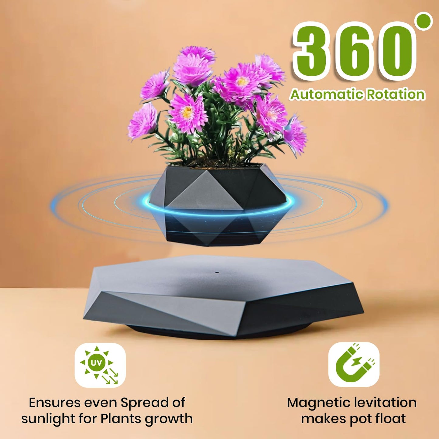 Ekhasa magnetic planter - bonsai display for office