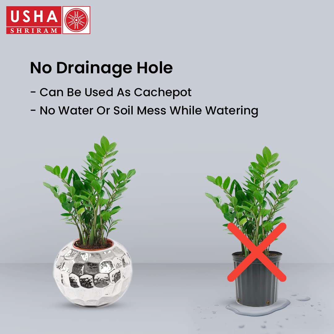Usha Shriram round flower pot - lightweight for easy moving
