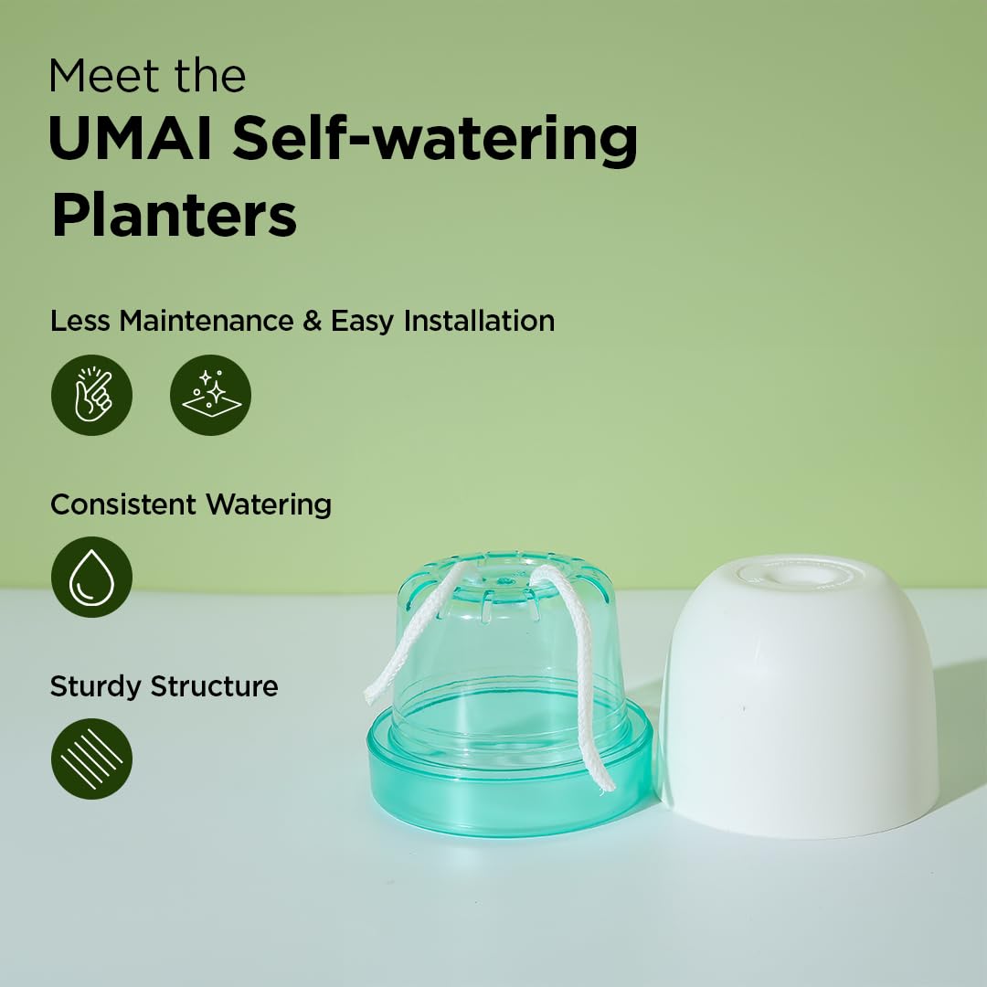 UMAI self watering plant pots - indoor gardening solution