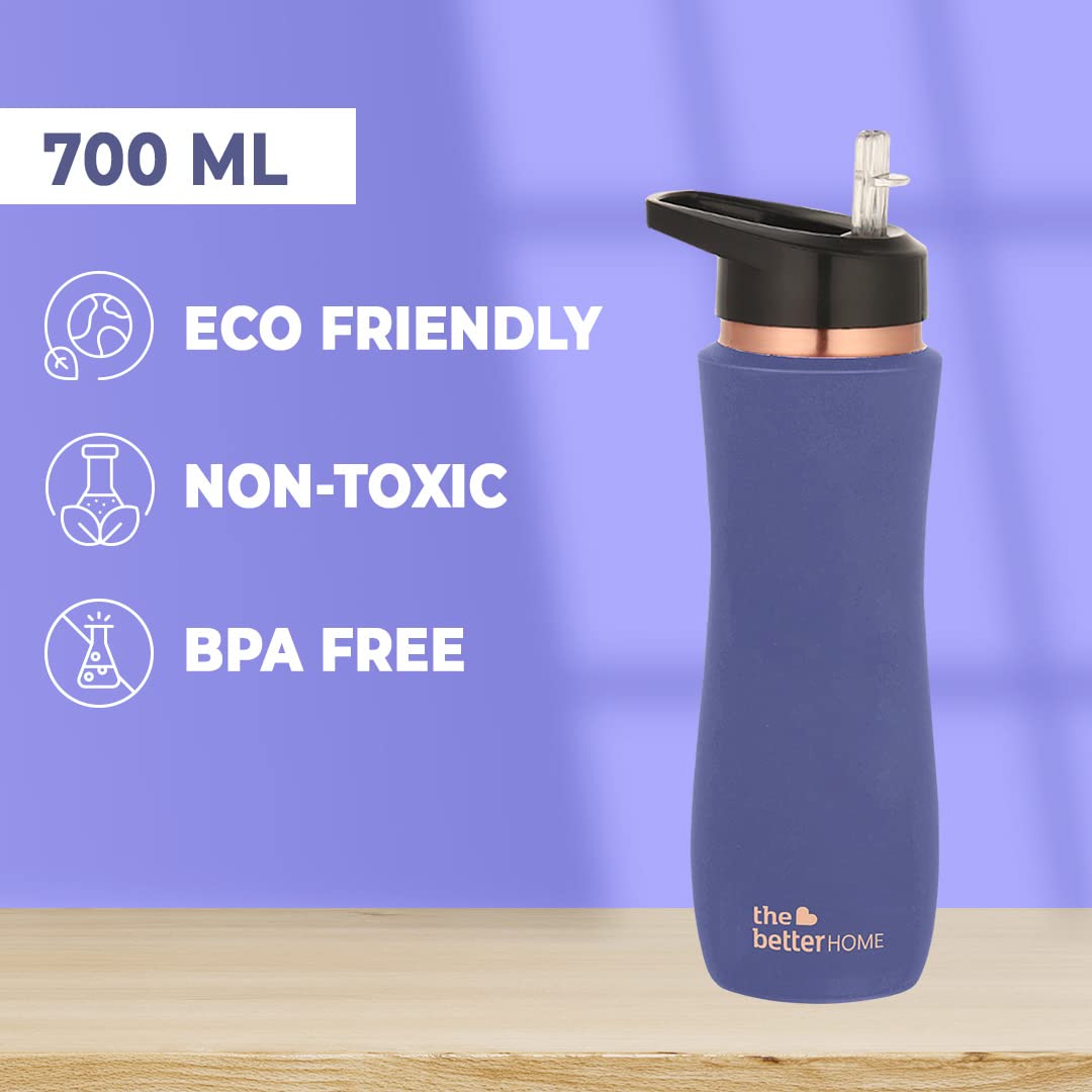 Combo: 100% Pure Copper Water Bottle with Sipper | BPA Free, Non-Toxic, Anti-Oxidant | 950ml | Purple