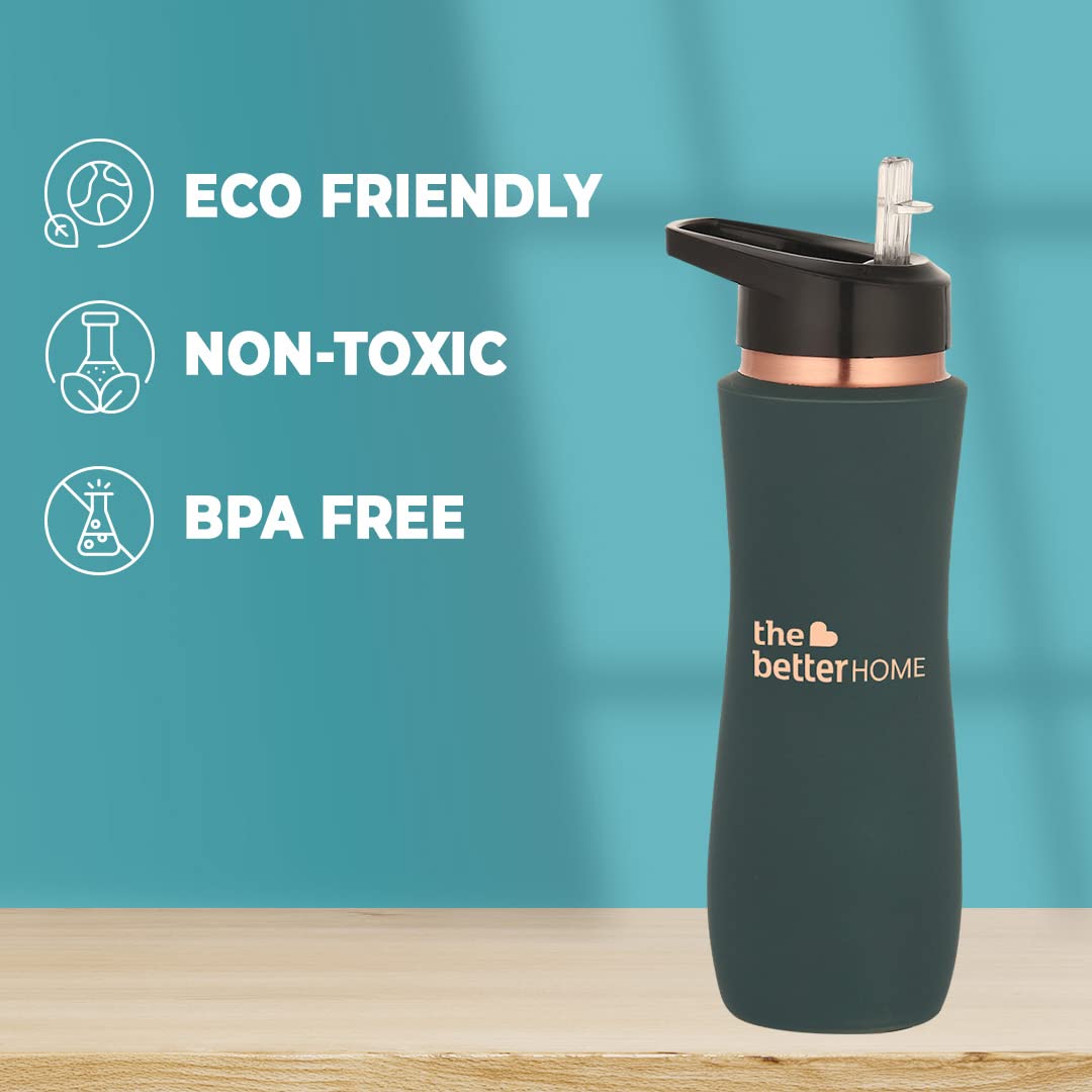 Copper Water Bottle | 100% Pure Copper Bottle with Sipper | BPA Free & Non Toxic Water Bottle with Anti Oxidant Properties | Sipper Bottle For Adults & Kids (Pack of 10)