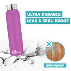 Stainless Steel Water Bottle 1 Litre | Leak Proof, Durable & Rust Proof | Non-Toxic & BPA Free Steel Bottles 1+ Litre | Eco Friendly Stainless Steel Water Bottle | Purple (Pack of 2